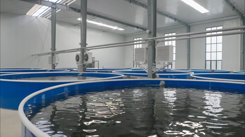 全链条业务能力：从单环节服务到全生态解决方案