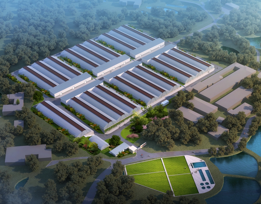 企业愿景：以新质生产力赋能“蓝色粮仓”建设